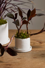 Easton Ceramic Pots By Accent Decor