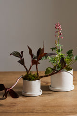 Easton Ceramic Pots By Accent Decor