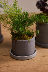 Easton Ceramic Pots By Accent Decor