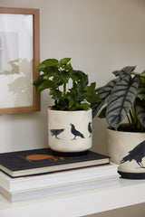 Corvus Ceramic Pots By Accent Decor