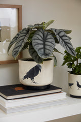 Corvus Ceramic Pots By Accent Decor