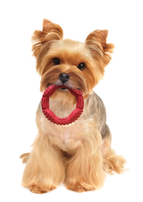 Barrett Tough Rubber Dog Toy