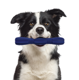 Barrett Tough Rubber Dog Toy