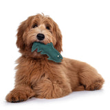Dura-Fused Leather Fish Dog Toy, 7"