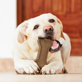 Dura-Fused Leather Chunky Dog Toy
