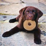 Dura-Fused Leather Chunky Dog Toy