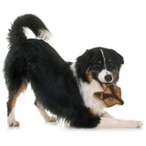 Dura-Fused Leather Chunky Dog Toy