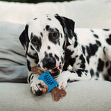Bam-Bone Plus Dental Chew Toy, Bacon 6.5"