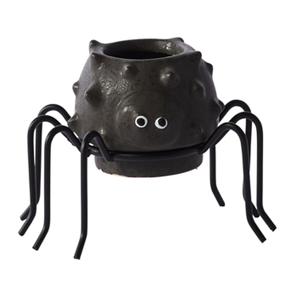 Silly Spider Pots By Accent Decor