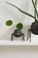 Silly Spider Pots By Accent Decor