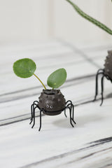 Silly Spider Pots By Accent Decor