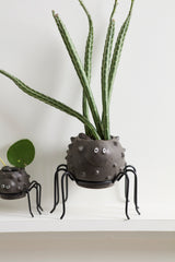 Silly Spider Pots By Accent Decor