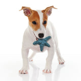 Love The Earth Sea Plush Dog Toy