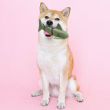 Love The Earth Sea Plush Dog Toy