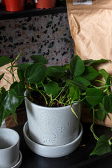 Watson Ceramic Pots By Accent Decor
