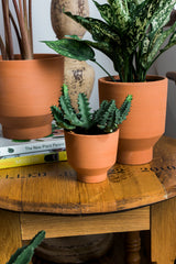 Crescendo Footed Ceramic Pots By Accent Decor