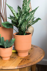 Crescendo Footed Ceramic Pots By Accent Decor