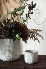 Whitcomb Ceramic Pots By Accent Decor