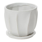 Draken Ceramic Pots By Accent Decor