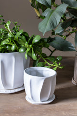 Draken Ceramic Pots By Accent Decor