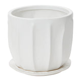 Draken Ceramic Pots By Accent Decor