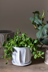 Draken Ceramic Pots By Accent Decor