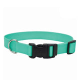 Adjustable Nylon Dog Collar with Plastic Buckle - Extra Small - 3/8" x 8"-12" / Teal