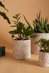 Terrazzo Natural Stone Pots By Accent Decor