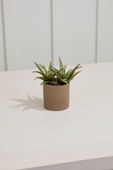 Morrigan Speckled Ceramic Decorative Vessels By Accent Decor