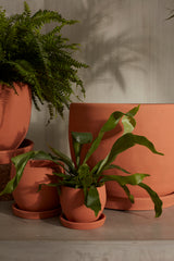Baden Ceramic Pots By Accent Decor