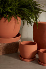 Baden Ceramic Pots By Accent Decor