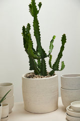 Salvage Hand-Painted Textured Pot By Accent Decor