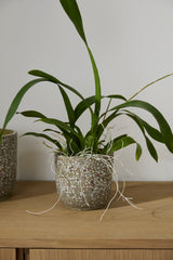 Verde Ceramic Pots By Accent Decor