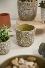 Verde Ceramic Pots By Accent Decor
