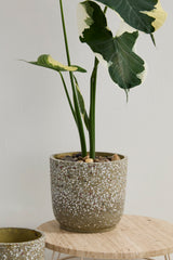Verde Ceramic Pots By Accent Decor
