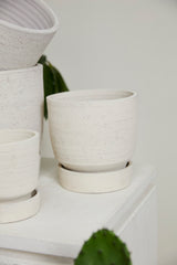 Salvage with Saucer Hand-Painted Textured Pot By Accent Decor