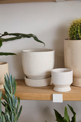 Salvage with Saucer Hand-Painted Textured Pot By Accent Decor