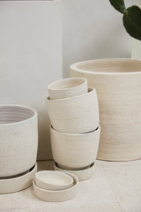 Salvage with Saucer Hand-Painted Textured Pot By Accent Decor