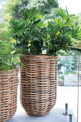 Kaya Woven Wood Baskets By Accent Decor