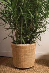 Fett Natural Fibers Pots By Accent Decor