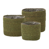 Inkberry Natural Fibers Baskets (Set of 3) By Accent Decor