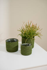 Inkberry Natural Fibers Baskets (Set of 3) By Accent Decor