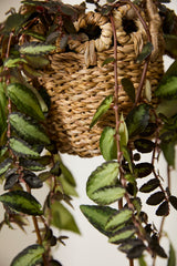 Verse Hanging Woven Natural Fibers Baskets By Accent Decor