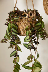 Verse Hanging Woven Natural Fibers Baskets By Accent Decor
