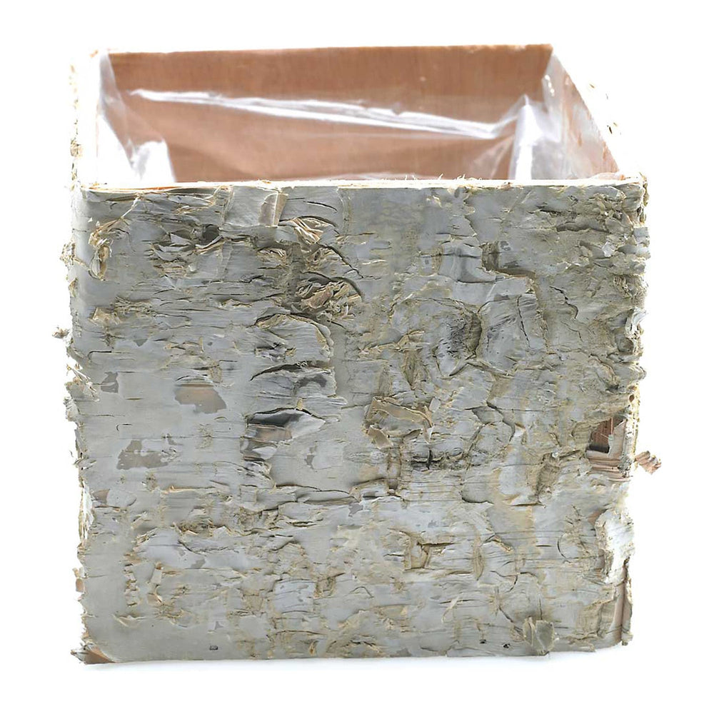 Birch Square Wood Pots By Accent Decor