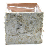 Birch Square Wood Pots By Accent Decor