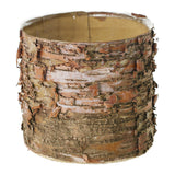 Birch Cylinder Wood Decorative Accents By Accent Decor