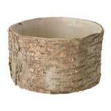 Birch Cylinder Wood Decorative Accents By Accent Decor