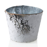 White Birch w/ Zinc Wood Pots By Accent Decor - 3.75" x 3"