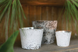 White Birch w/ Zinc Wood Pots By Accent Decor